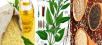 بهترین روش برای تشخیص روغن کنجد اصل و تقلبی