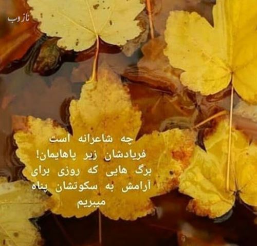 زیباترین اشعار و عکس نوشته های عاشقانه پاییز