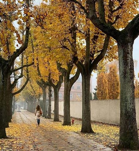 زیباترین اشعار و عکس نوشته های عاشقانه پاییز