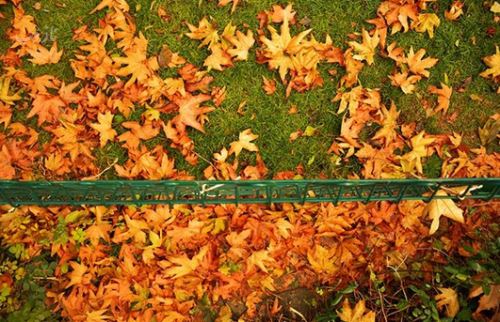 زیباترین اشعار و عکس نوشته های عاشقانه پاییز