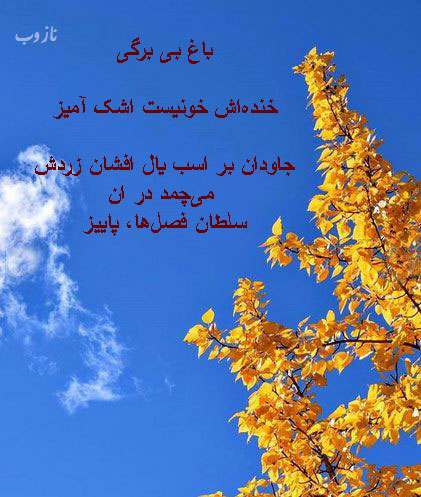 زیباترین اشعار و عکس نوشته های عاشقانه پاییز