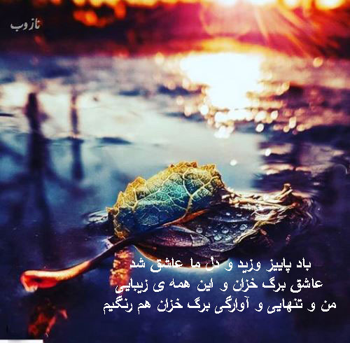 زیباترین اشعار و عکس نوشته های عاشقانه پاییز