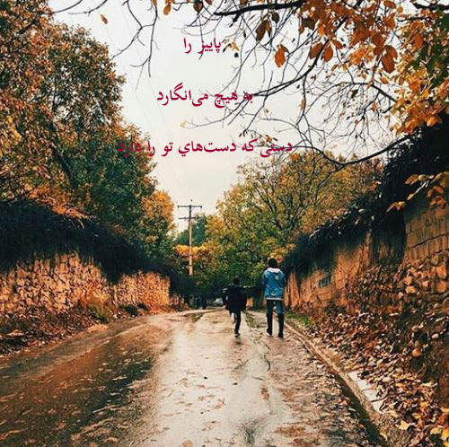 زیباترین اشعار و عکس نوشته های عاشقانه پاییز