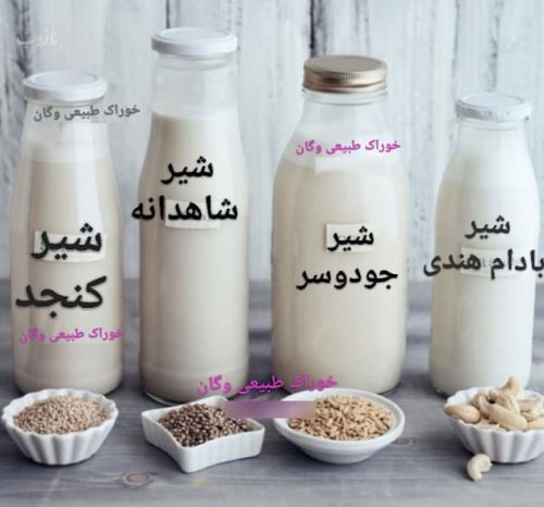 معرفی شیرهای گیاهی جایگزین شیر گاو+ خواص کامل