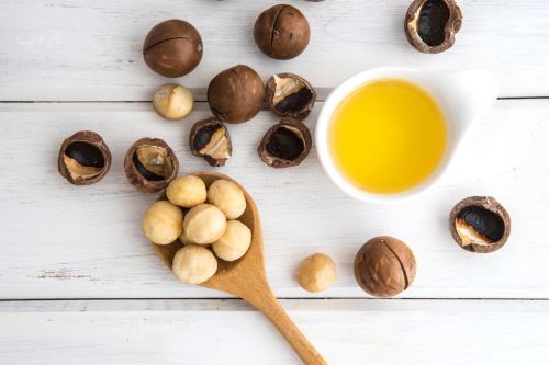 طرز تهیه شیر ماکادمیا، شیر کینوا و شیر شاهدانه+ خواص