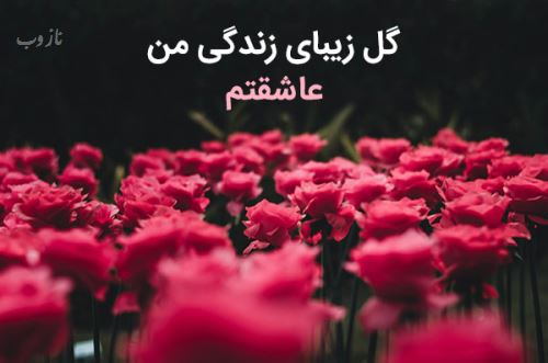 زیباترین اشعار عاشقانه با تصویر و عکس نوشته/ عشق جانم