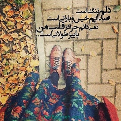 جملات سنگین پاییزی با عکس نوشته های زیبا و رمانتیک