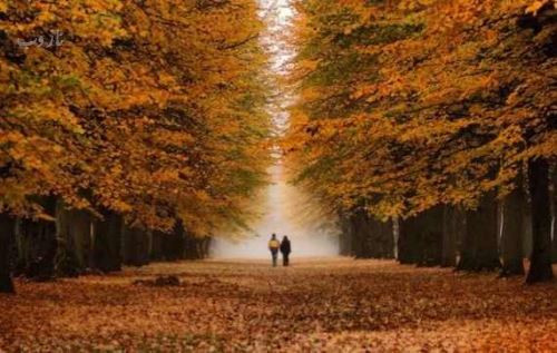 جملات سنگین پاییزی با عکس نوشته های زیبا و رمانتیک