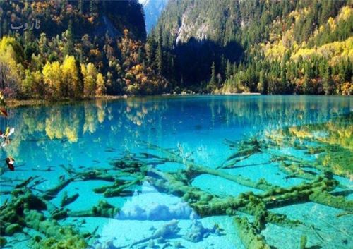 رویایی، زیبا و زلال ترین دریاچه های جهان+ تصاویر بکر