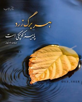 زیبا و خاص ترین تصاویر، عکس نوشته های احساسی پروفایل