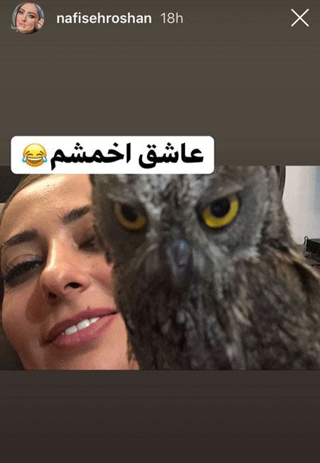 سلفی در سلفی های جدید چهره ها و بازیگران