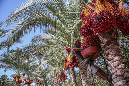 گالری عکس های دیدنی/ از دختران زیبا در قصر تا