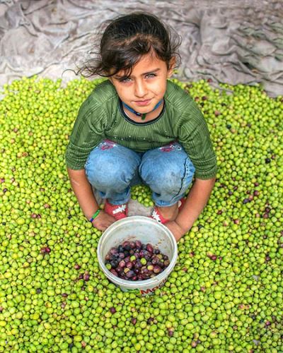 گالری عکس های دیدنی/ از دختران زیبا در قصر تا