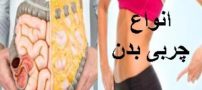 چربی احشایی چیست؟ انواع چربی های بدن از قهوه ای تا احشایی!