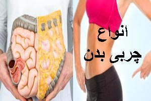 چربی احشایی چیست؟ انواع چربی های بدن از قهوه ای تا احشایی! چربی احشایی چیست؟ انواع چربی های بدن از قهوه ای تا احشایی!