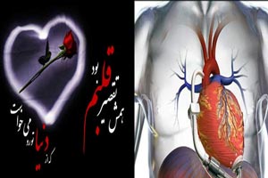 بهترین و بدترین خوراکی ها برای قلب