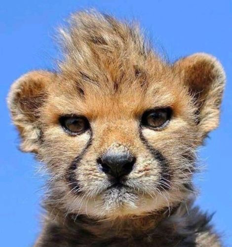 عکس های داغ و احساسی بازیگران و هنرمندان کشور