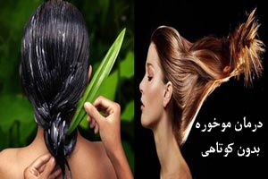 موخوره را بدون کوتاهی در خانه درمان کنید+ ماسک موخوره