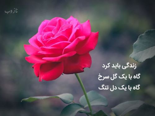 اشعار عاشقانه، شعر نو + عکس نوشته های love
