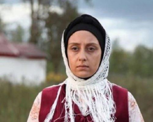 بیوگرافی همه بازیگران سریال جنجالی وارش از مهدیه تا دافسار
