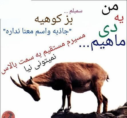 عکس نوشته های خصوصیات متولدین دی ماه