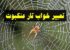 تعبیر خواب عنکبوت و تار عنکبوت