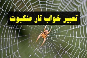 تعبیر خواب عنکبوت و تار عنکبوت