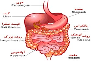 خون ریزی دستگاه گوارش چه علائمی دارد خون ریزی دستگاه گوارش چه علائمی دارد