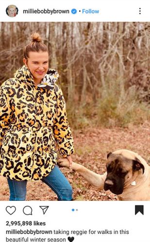 عکس های کریسمس 20 و زیبای ستاره های هالیوود