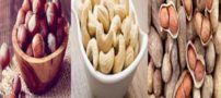 خواص فندق، بادام هندی(کاشو) و کوهی(الوک) کاربرد زیبایی و درمانی