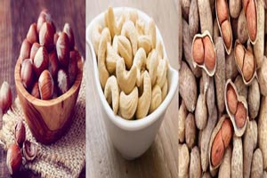 خواص فندق، بادام هندی(کاشو) و کوهی(الوک) کاربرد زیبایی و درمانی خواص فندق، بادام هندی(کاشو) و کوهی(الوک) کاربرد زیبایی و درمانی