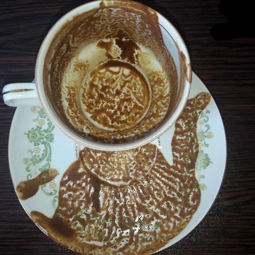 فال و طالع بینی هفتگی تاروت، فرشتگان، قهوه و احساسی هفته 4 دی