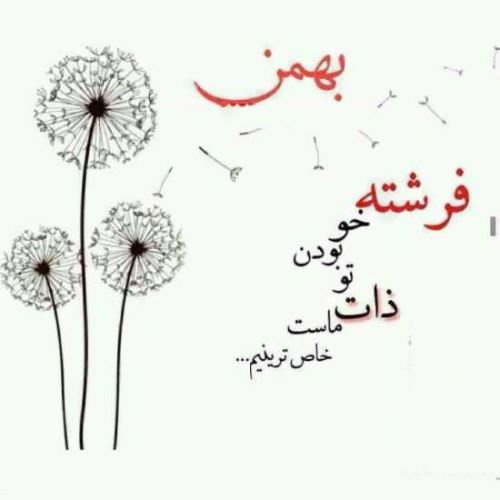 عکس نوشته های متولدین بهمن+ اشعار نو تولد
