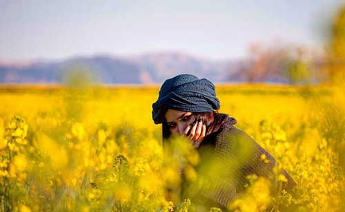 جدیدترین عکس های بازیگران کشور در روزهای قرنطینه