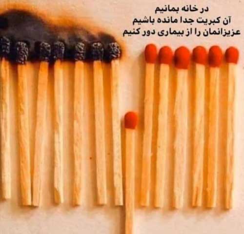 جدیدترین عکس های بازیگران کشور در روزهای قرنطینه