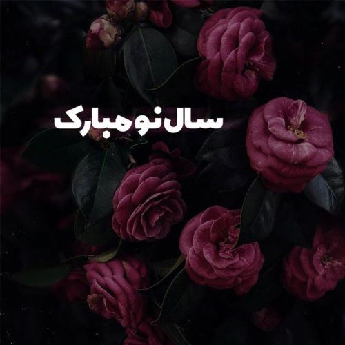 زیباترین عکس نوشته و پیام های ادبی تبریک عید 99