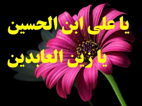 عکس نوشته و پیام های تبریک ولادت امام زین العابدین