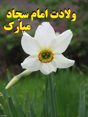 عکس نوشته و پیام های تبریک ولادت امام زین العابدین