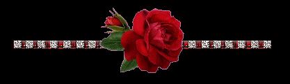 عشق؛ اشعار عاشقانه و نو با عکس نوشته های رمانتیک