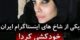 علت و فیلم خودکشی سیلا فرزام دختر شاخ اینستاگرام