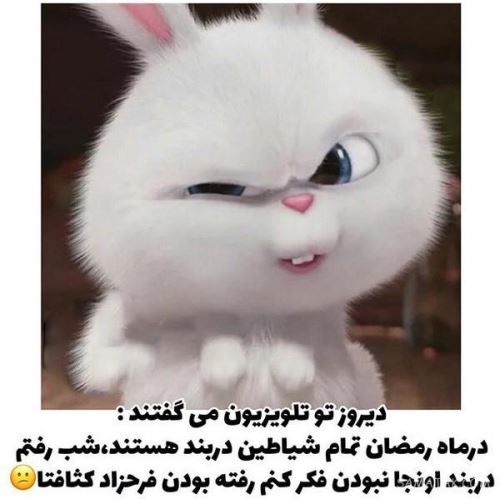 پیام های طنز تبریک و عکس های خنده دار عید فطر
