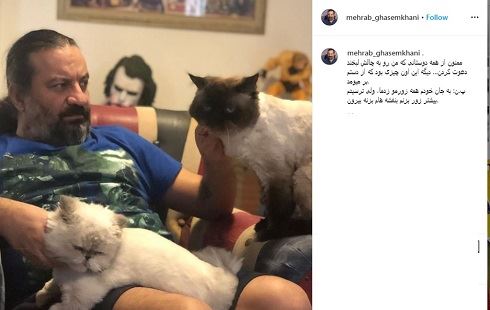 طلاق جنجالی مهراب قاسم خانی و شقایق دهقان+ ماجرا و تصاویر