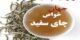 خواص چای سفید بهترین چای جهان، اکسیر لاغری و جوانی+ روش استفاده