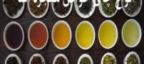 شناخت و معرفی انواع چای گیاهی در جهان اکسیر های معجزه آسا/ 77 چای