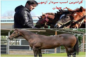 جنجال اسب نیم میلیون دلاری سردار آزمون+ تصاویر و سلفی های داغ