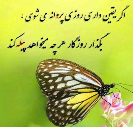 عکس نوشته های جملات مفهومی، خاص و آرامبخش+ شعر و متن