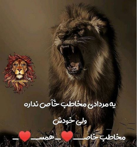 خصوصیات مردادماهی ها+ عکس نوشته های زیبا و خواندنی