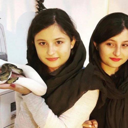 بیوگرافی جدید سارا و نیکا فرقانی و ازدواج آنها +حواشی جنجالی
