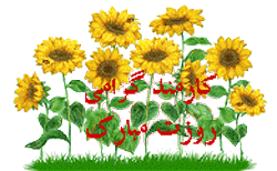 گیف و تصاویر متحرک تبریک روز کارمند/ 4 شهریور