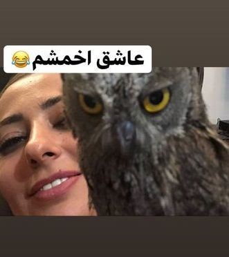 فیلم بازی نفیسه روشن با عجیب ترین حیوان گونه کمیاب جنجالی شد